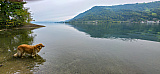 Chieme (Zugersee)