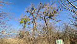 M&ouml;rigen bis Hagneck am See entlang