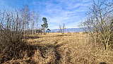 M&ouml;rigen bis Hagneck am See entlang