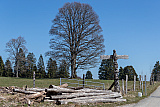 Bison Ranch, Les Pres-d'Orvin