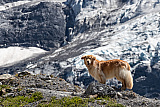Kleine Scheidegg und Umgebung