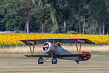 Wings & Friends Airport Grenchen