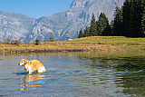 Ferien mit dem Camper