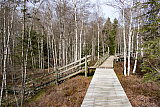 Les Ponts-de-Martel