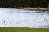 Lac des Taill&egrave;res