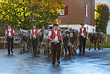 Ferien im Toggenburg