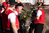 Ferien im Toggenburg