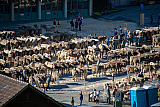 Ferien im Toggenburg