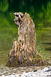 Ferien im Alpstein