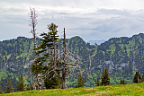 Ferien im Alpstein